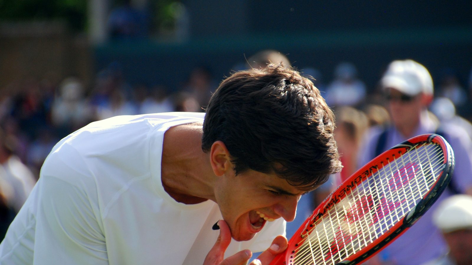 Pierre-Hugues Herbert en 2014